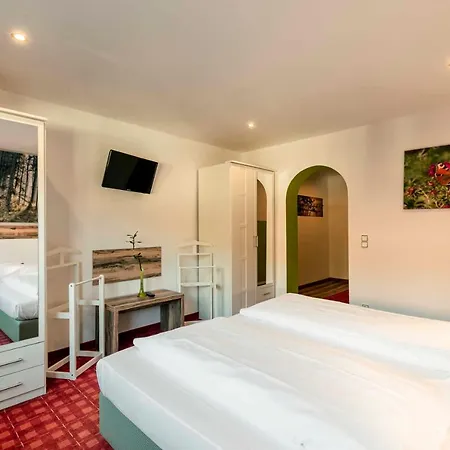 Hotel Gruenwies -bonsai-wellness Garni (adults Only) Lohberg